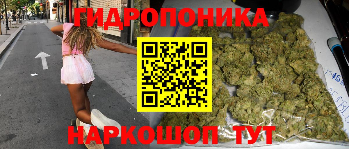 Шишки марихуана план  Вход с VPN  Славянск-на-Кубани  Конопля ГИДРОПОН  Конопля конопля 